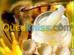 غذاء ملكة النحل Gelee royale