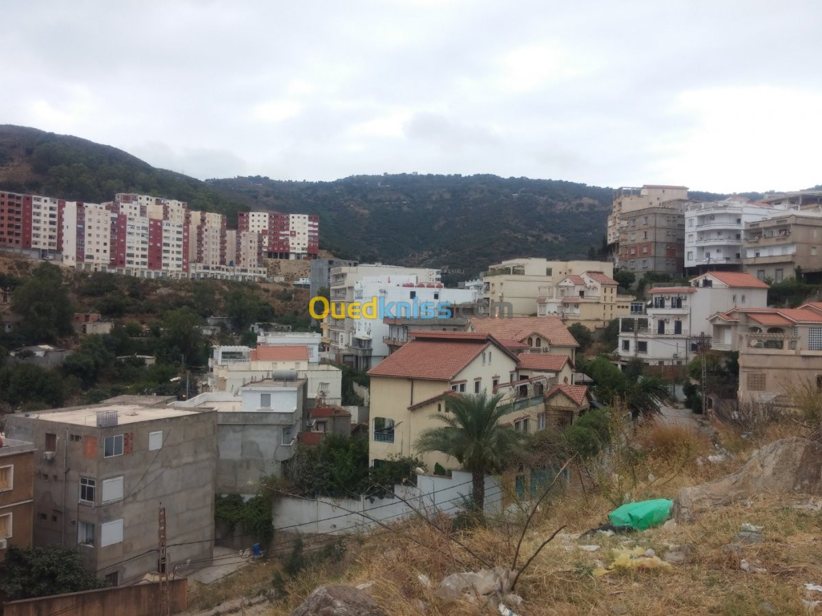 Vente Appartement F3 Annaba Annaba