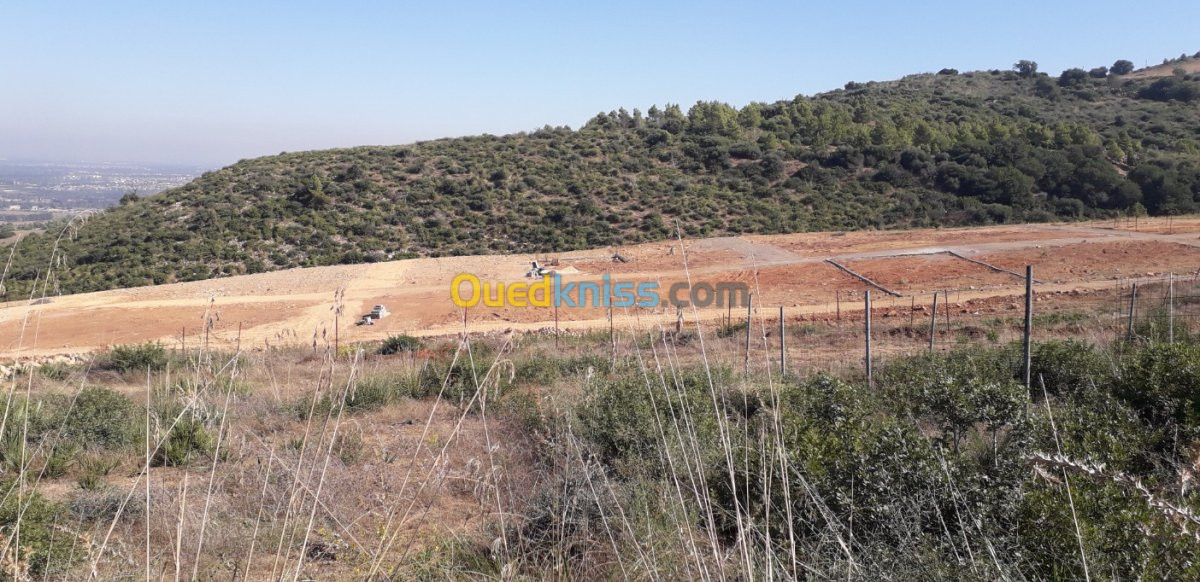 Vente Terrain Blida Bouinan