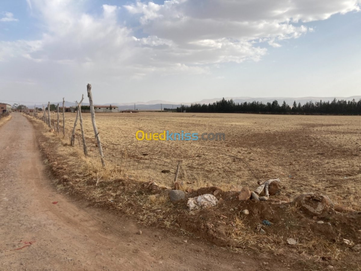 Vente Terrain Batna Ouyoun el assafir