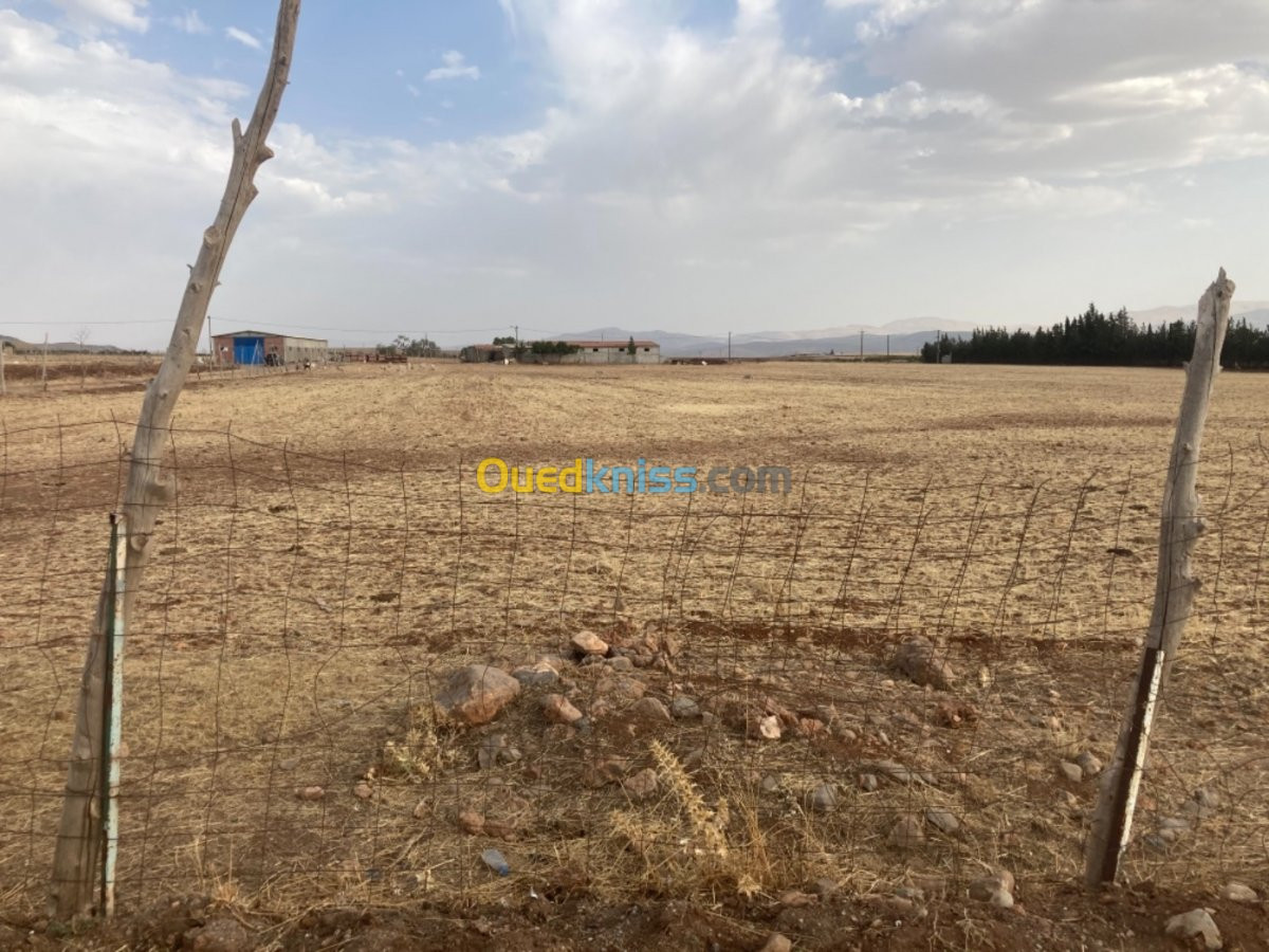 Vente Terrain Batna Ouyoun el assafir