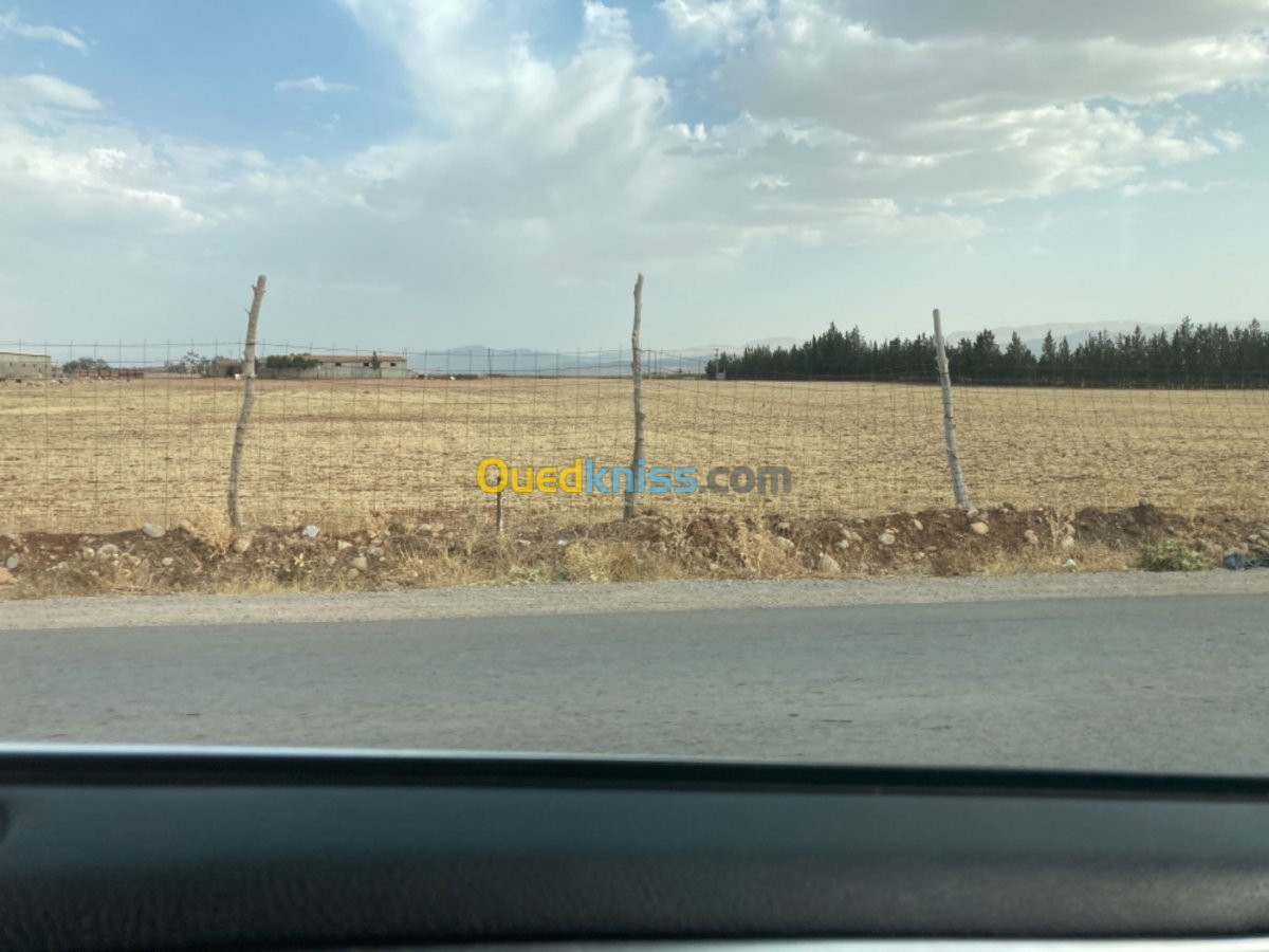 Vente Terrain Batna Ouyoun el assafir