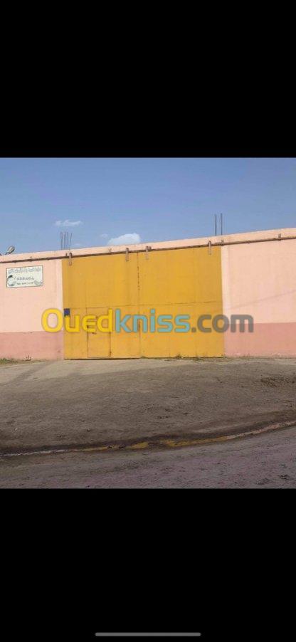 Vente Hangar Mila Oued seguen