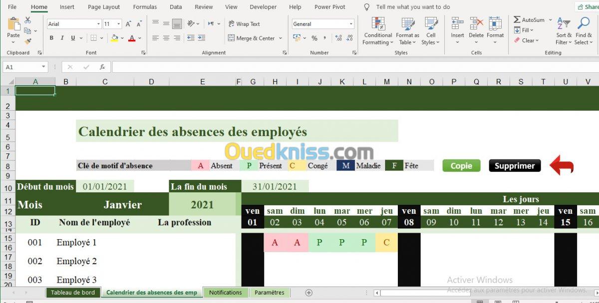 خدمات Excel & Spss & Word