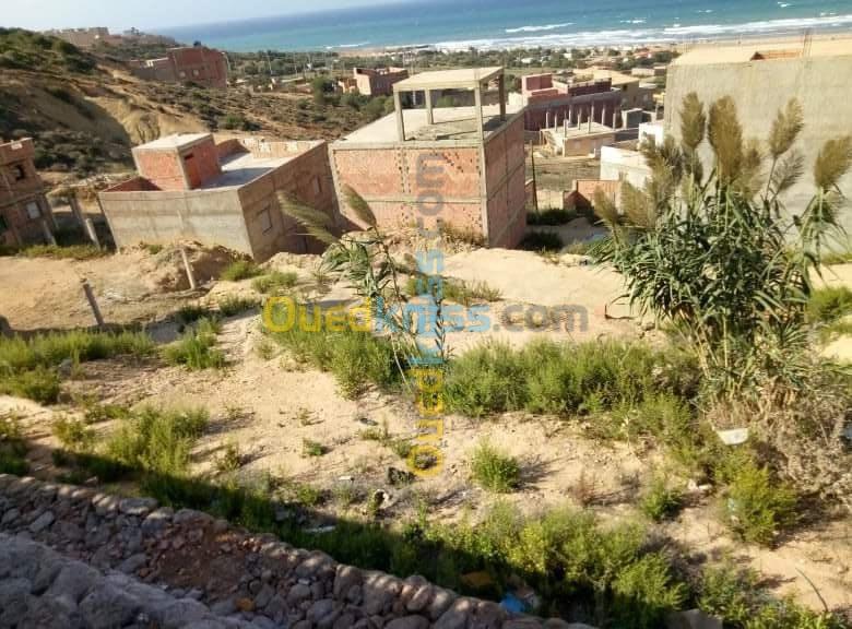 Vente Terrain Mostaganem Achaacha