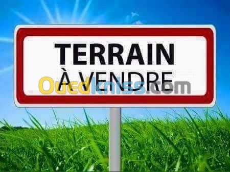 Vente Terrain Tipaza Attatba