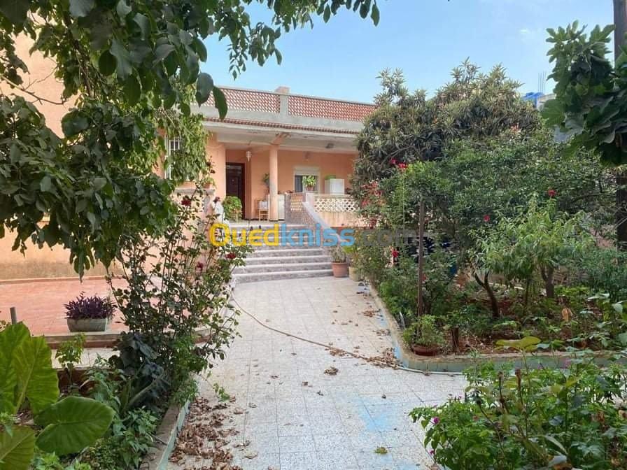 Vente Villa Relizane Zemmoura