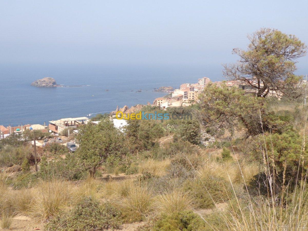 Vente Terrain Tipaza Tipaza