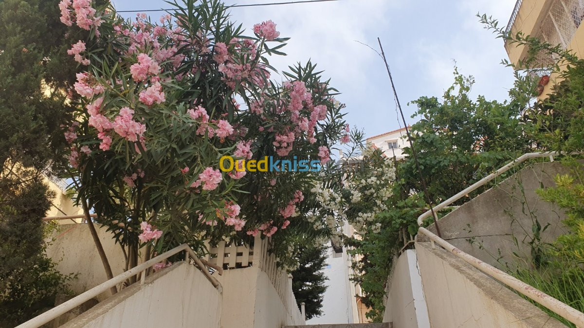 Vente Duplex F4 Alger El achour