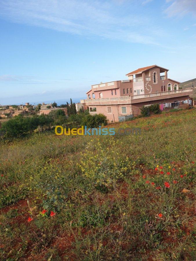 Vente Villa Tlemcen Souahlia