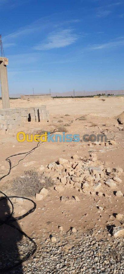 Vente Terrain Biskra El ghrous