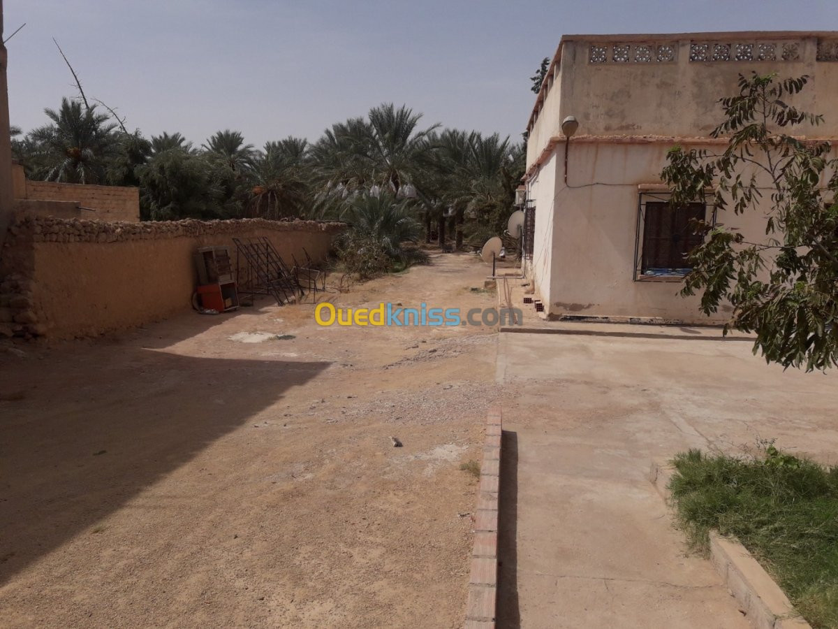 Vente bien immobilier Biskra Tolga