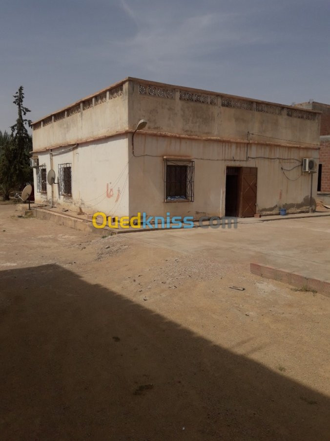 Vente bien immobilier Biskra Tolga