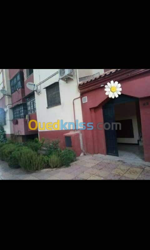 Vente Appartement F3 Tlemcen Mansourah