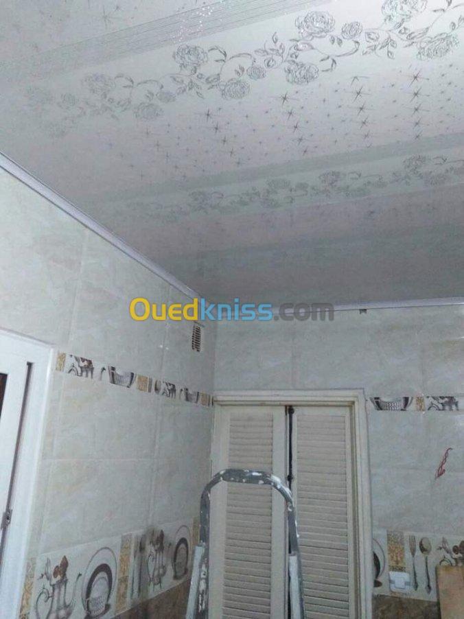 Faux plafond pvc / ba13