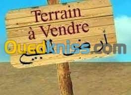 Vente Terrain Ouargla Rouissat