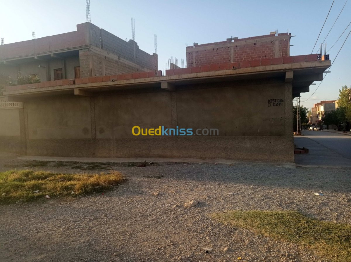 Vente bien immobilier Oum el bouaghi Meskiana