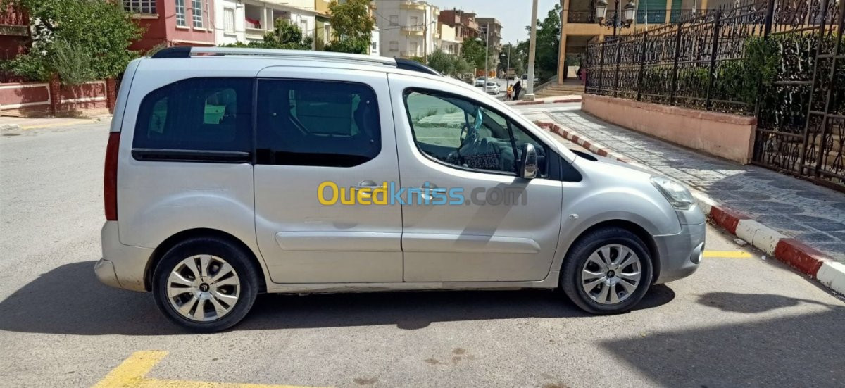 Citroen Berlingo Multispace 2009 XTR