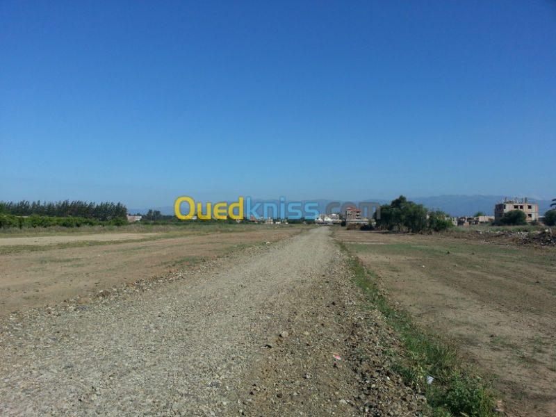 Vente Terrain Alger Ouled chebel