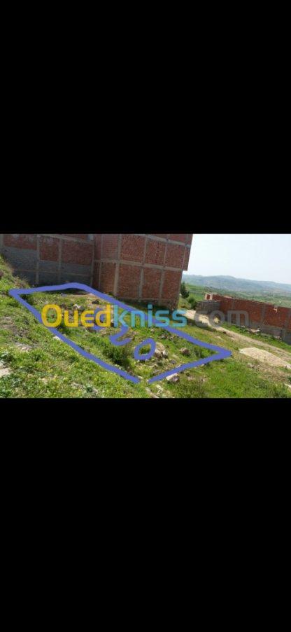 Vente Terrain Tlemcen Souahlia