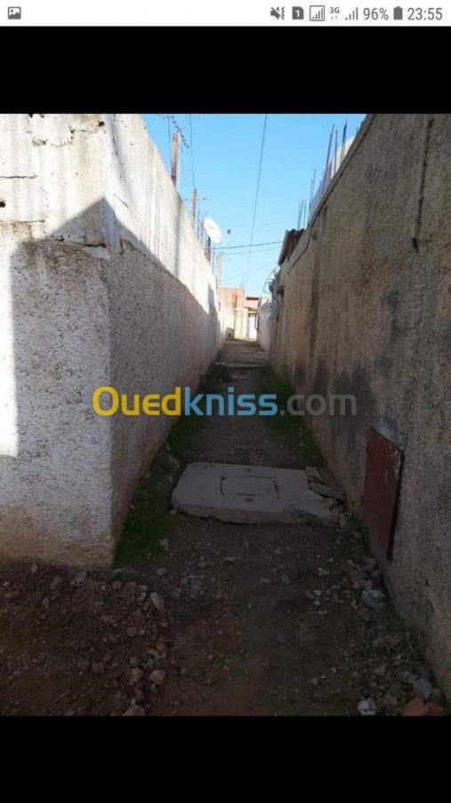 Vente Immeuble Chlef Chettia