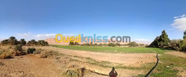 Vente Terrain Agricole Biskra El outaya