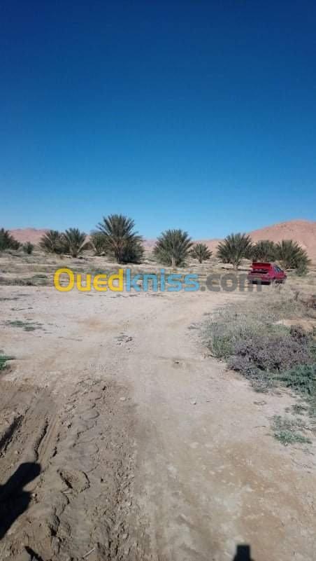 Vente Terrain Agricole Biskra El outaya