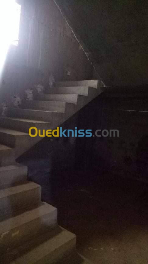 Vente Villa Djelfa Ain oussara