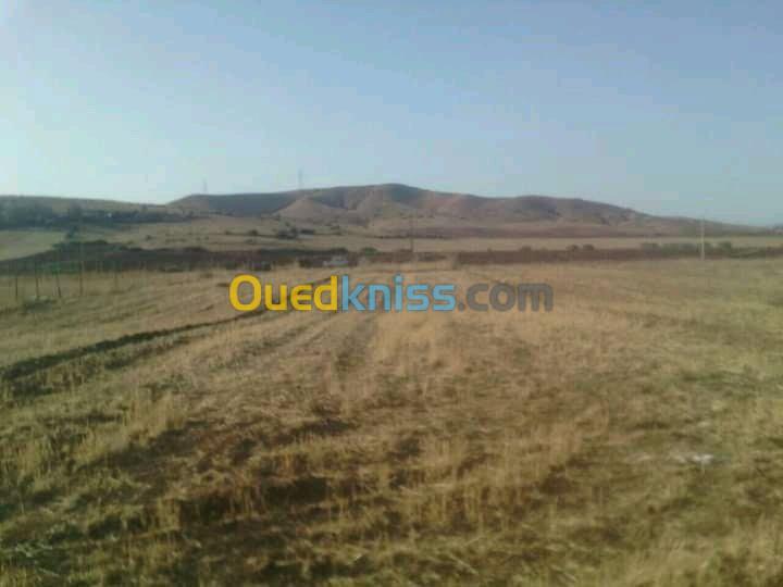 Vente Terrain Chlef Oued fodda