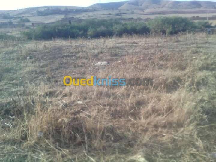 Vente Terrain Chlef Oued fodda