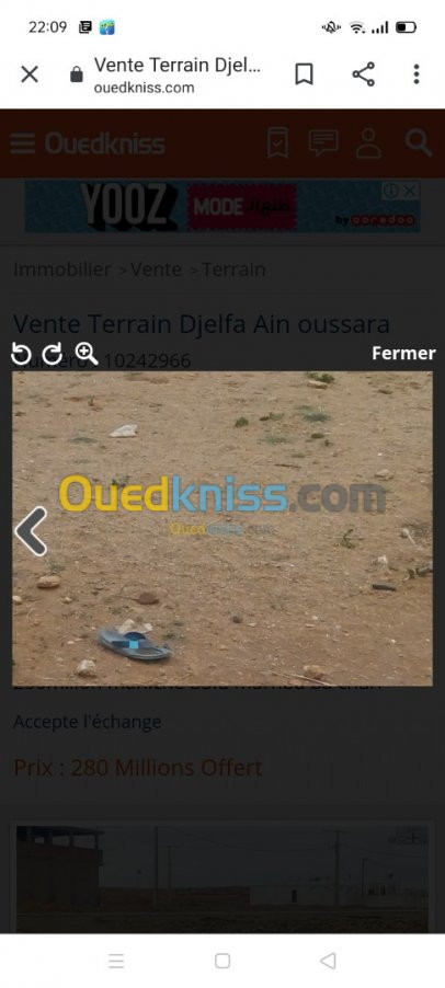 Vente Terrain Djelfa Ain oussara