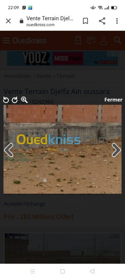 Vente Terrain Djelfa Ain oussara