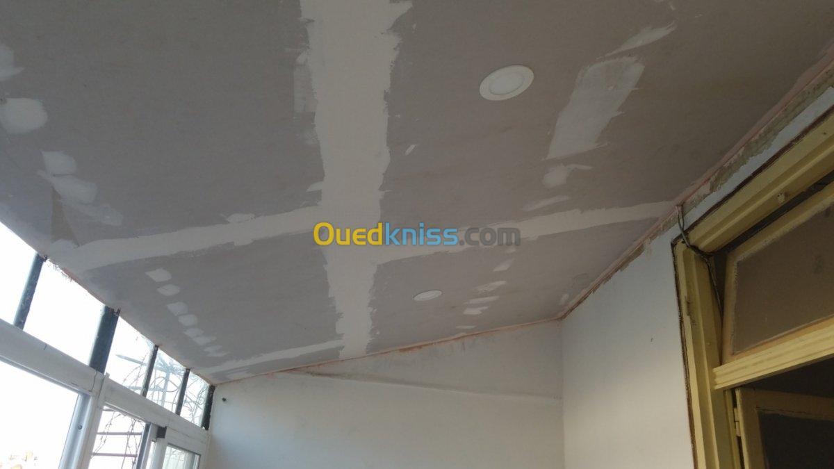 Faux plafond placoplatre et pvc