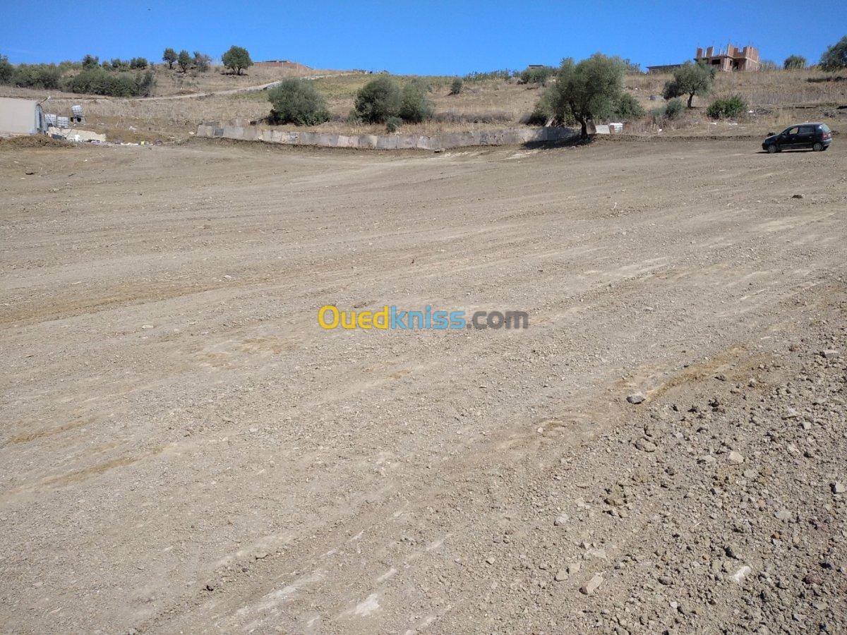 Vente Terrain Boumerdes Bouzegza keddara Boumerdès Algérie