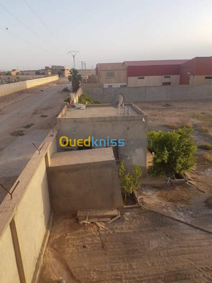 Vente Terrain Biskra Oumache