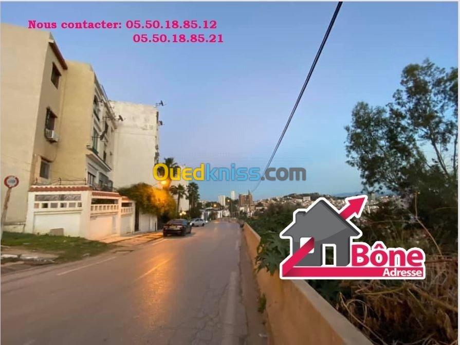 Vente Terrain Annaba Annaba