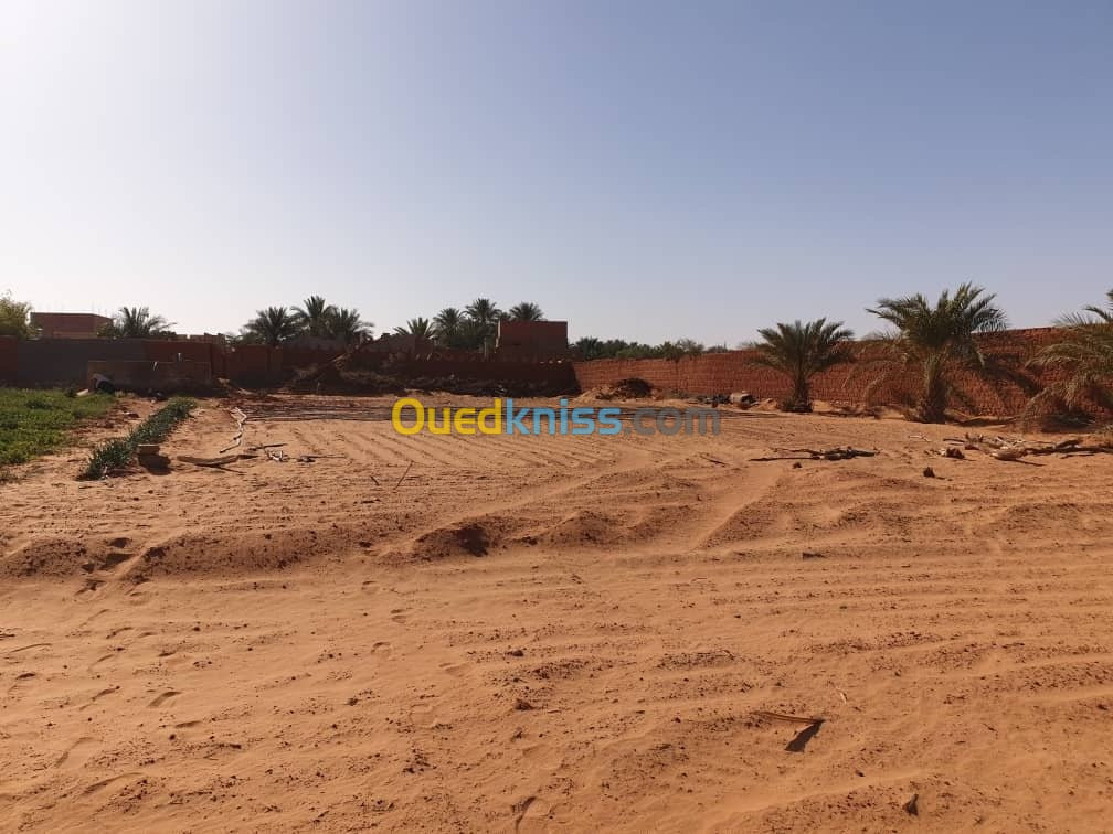 Vente Terrain Adrar Timimoun