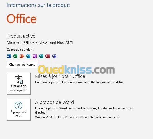 Microsoft Office 2021 Pro Plus Retail