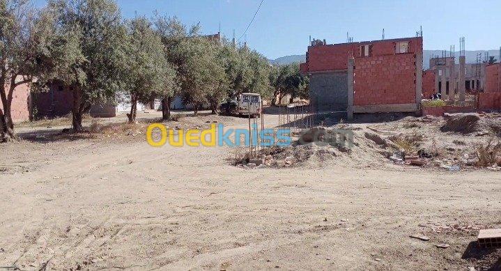 Vente Terrain Blida Ouled selama