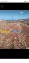 Vente Terrain Tlemcen Dar yaghmouracene