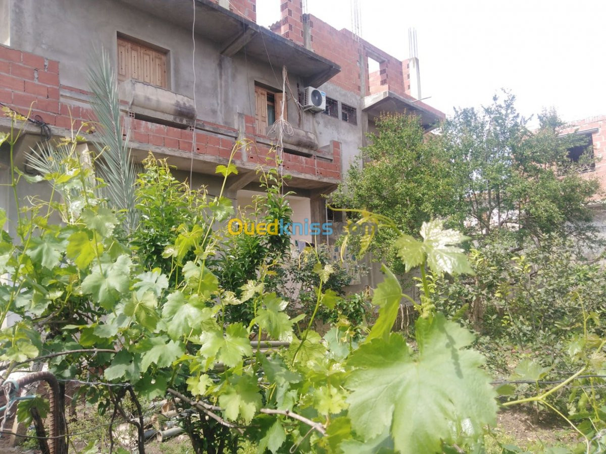 Vente Villa Guelma Boumahra ahmed