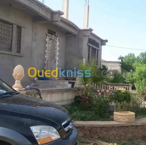 Vente bien immobilier Oum el bouaghi Ain kercha