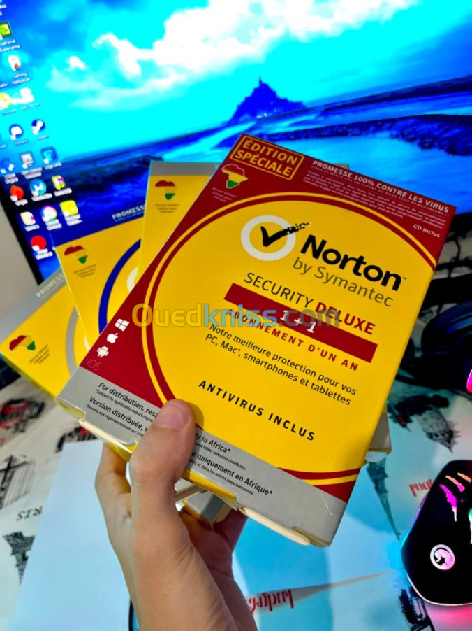 AntiVirus  Norton Security