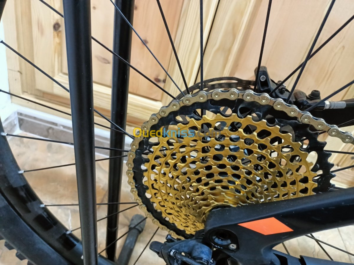 Disponible VTT enduro 12 s xx1 goLd