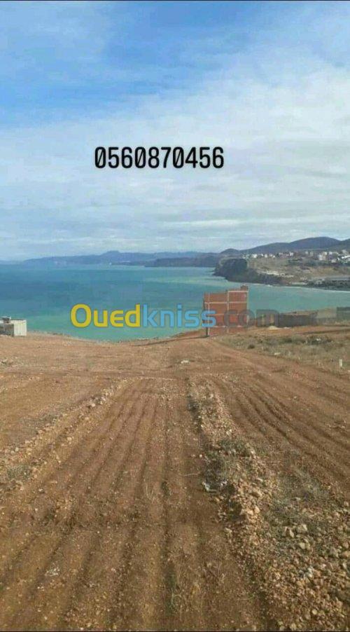 Vente Terrain Tlemcen Souk tlata