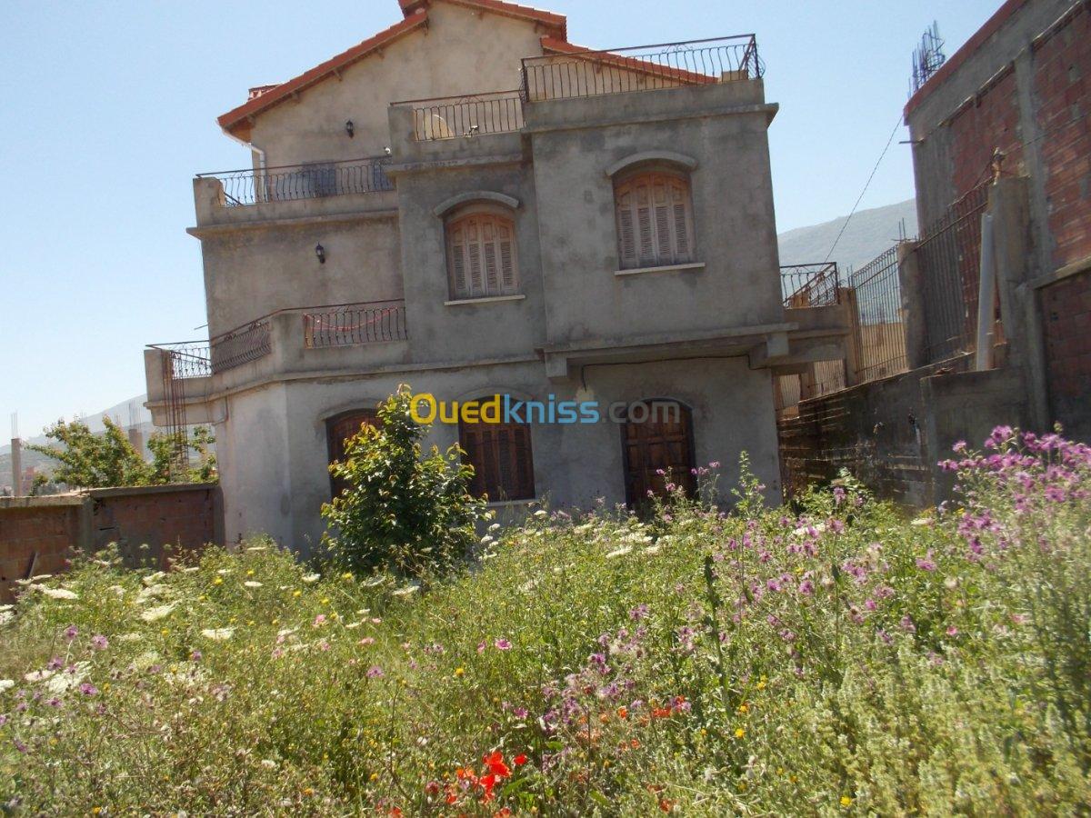 Vente Villa Blida Guerrouaou