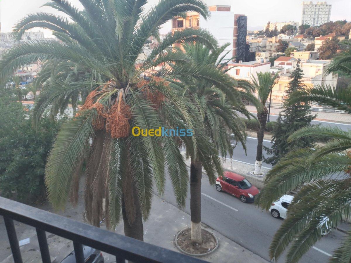 Vente Appartement F3 Alger El madania