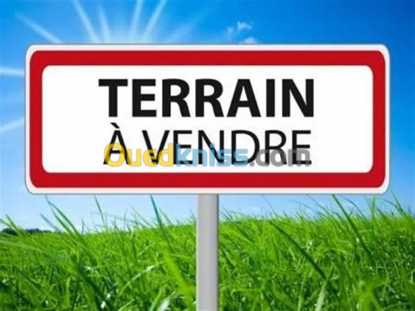 Vente Terrain Blida Blida