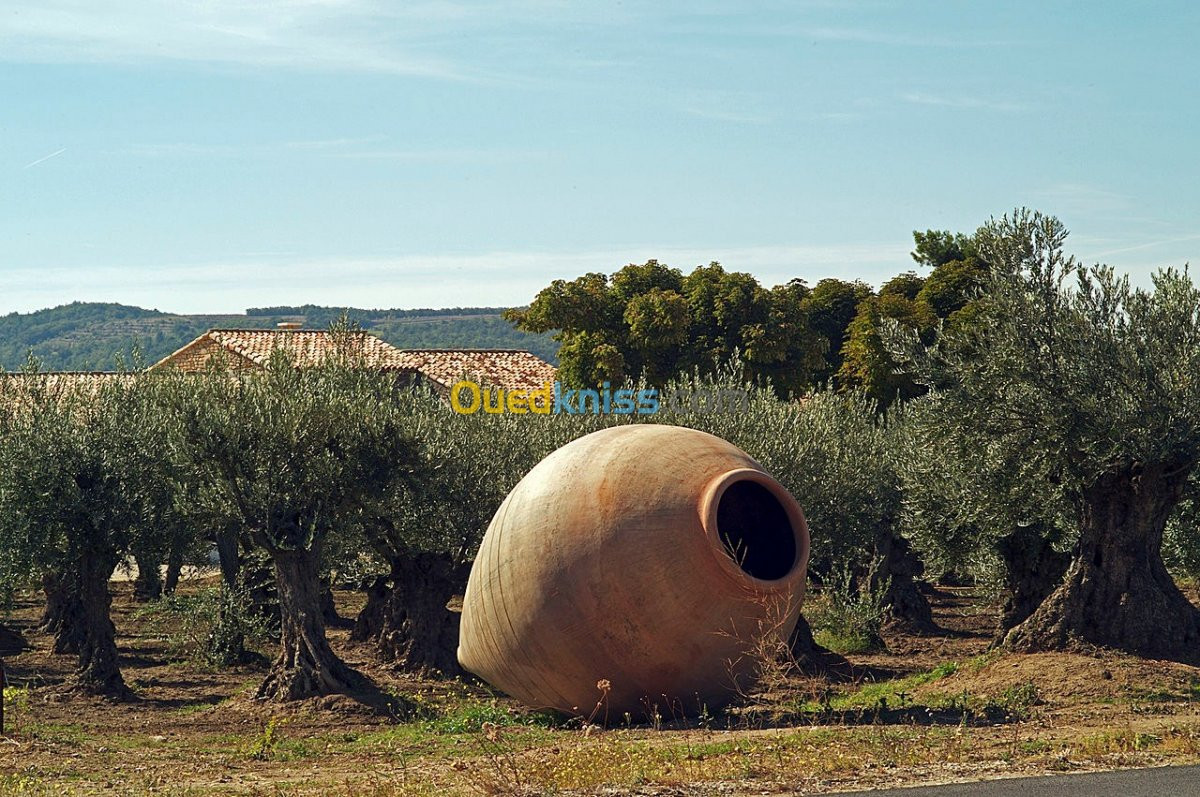 Huile d'olive de jijel