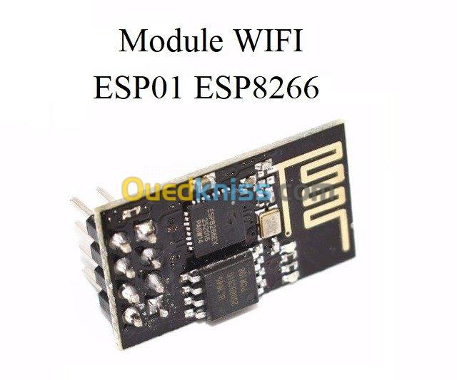 NodeMCU ESP32 ESP01 Programmateur